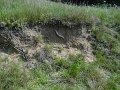 13 steilwand Stalberg De Hamert_resize
